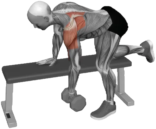 Rear Delt Row exercise demonstration