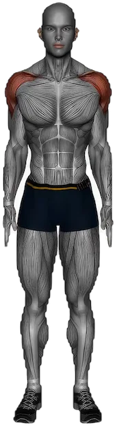 Rear Deltoid Stretch exercise demonstration
