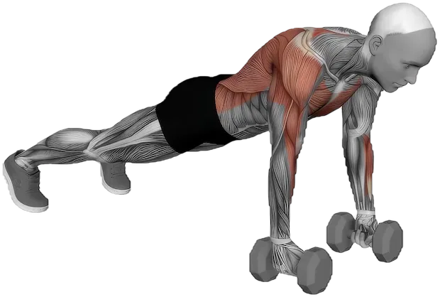 Renegade Row exercise demonstration