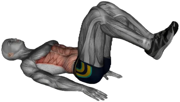 Reverse Crunch exercise demonstration