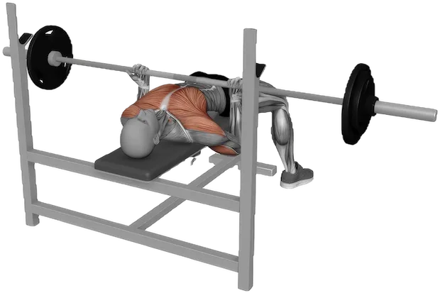 Reverse Grip Bench Press exercise demonstration