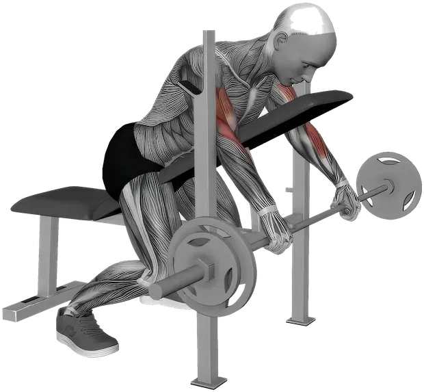 Reverse Spider Curl exercise demonstration