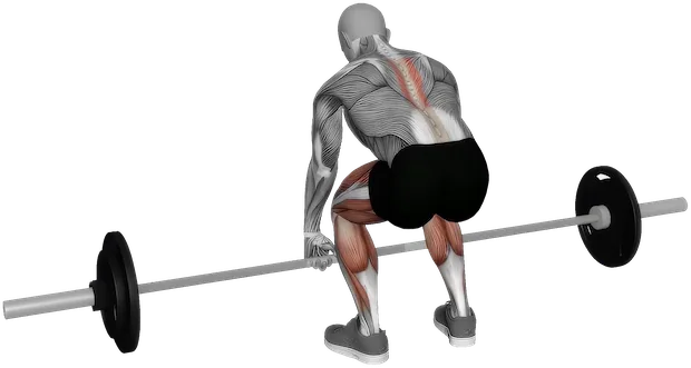 Romanian Deadlift exercise demonstration