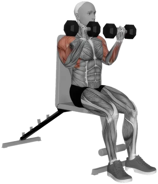 Seated Arnold Press exercise demonstration