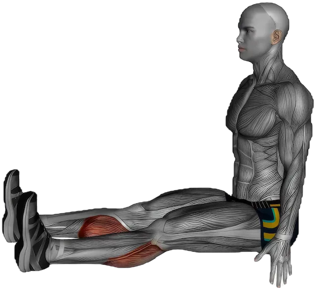 Seated Calf Stretch exercise demonstration
