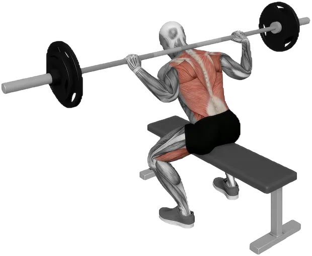 Seated Good Morning exercise demonstration
