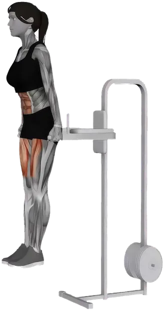 Seated Knee Tuck exercise demonstration
