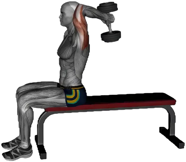 Seated Overhead Extension exercise demonstration