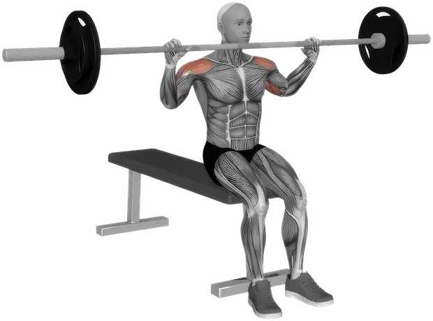 Seated Overhead Press exercise demonstration