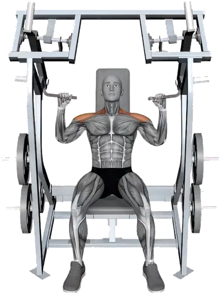 Seated Overhead Press exercise demonstration