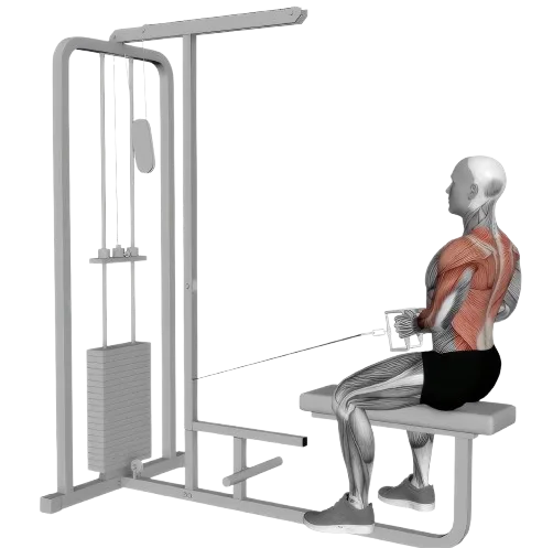 Seated Row exercise demonstration