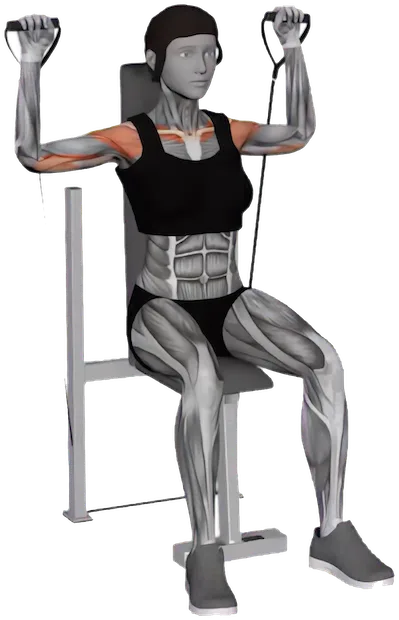 Seated Shoulder Press exercise demonstration