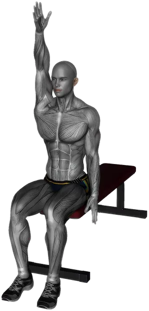Seated Side Stretch exercise demonstration