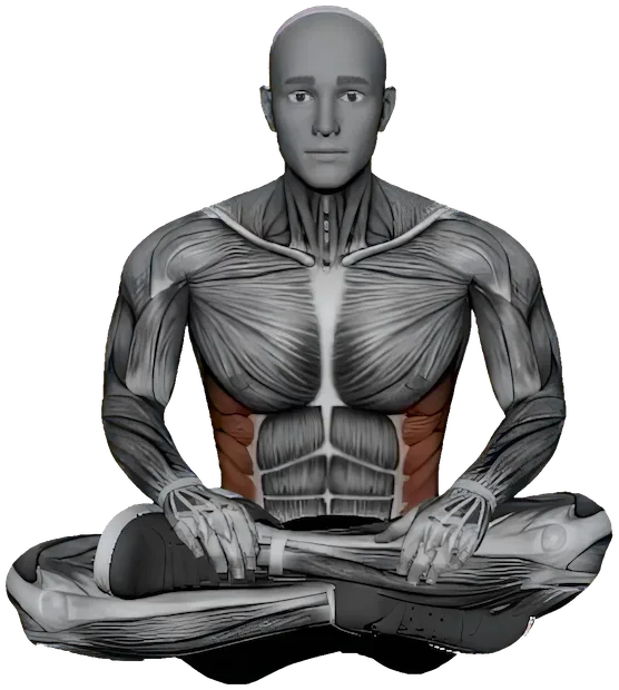 Seated Spinal Twist exercise demonstration