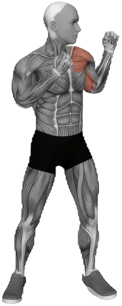 Shadow Boxing exercise demonstration