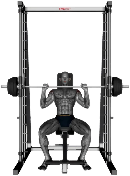 Shoulder Press exercise demonstration
