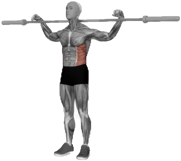 Side Bend exercise demonstration