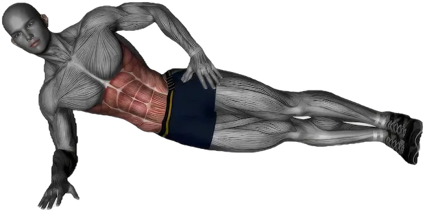 Side Plank exercise demonstration