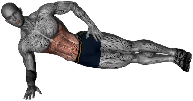 Side Plank Crunch exercise demonstration