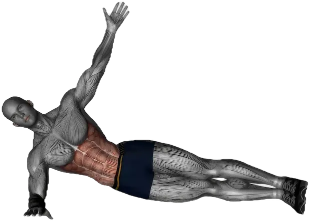 Side Plank Hip Lift exercise demonstration