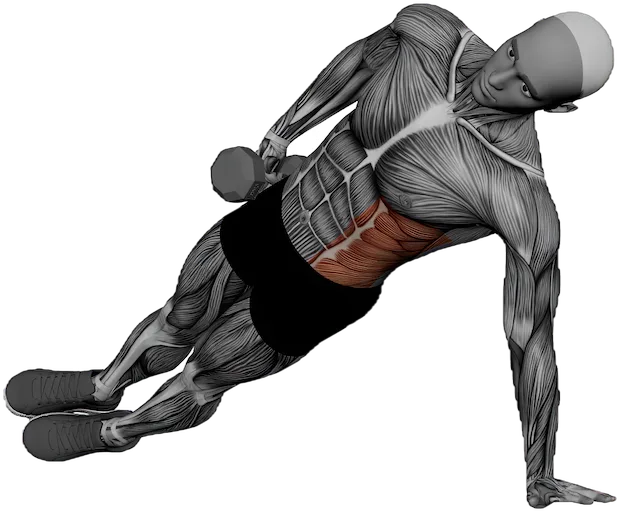 Side Plank Reach exercise demonstration