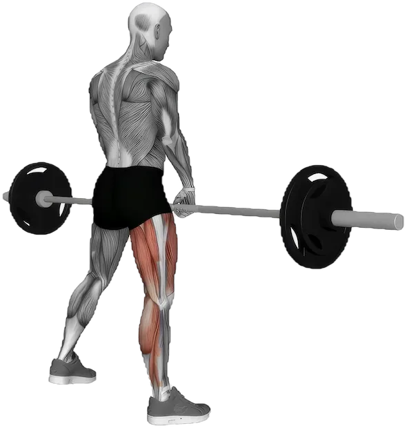 Single Leg Deadlift exercise demonstration