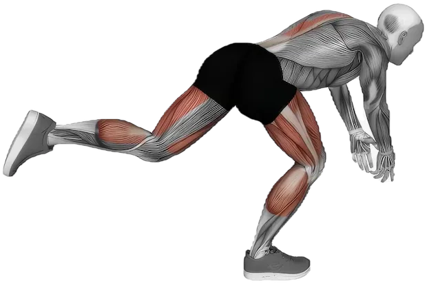 Single Leg Deadlift exercise demonstration