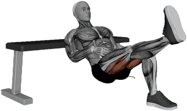 Single Leg Hip Thrust exercise demonstration