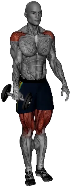 Single Leg Romanian Deadlift exercise demonstration