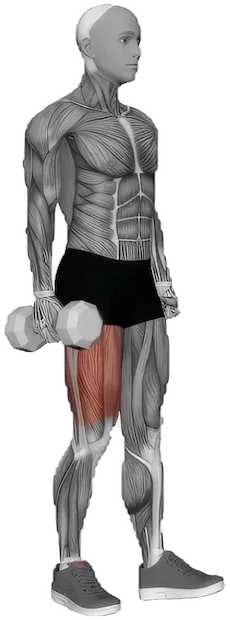 Single Leg Squat exercise demonstration