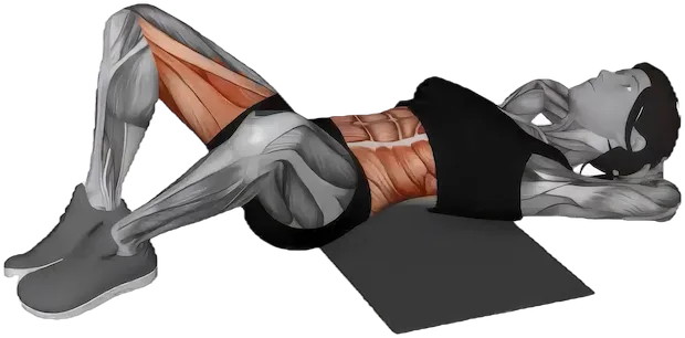 Sit Up exercise demonstration