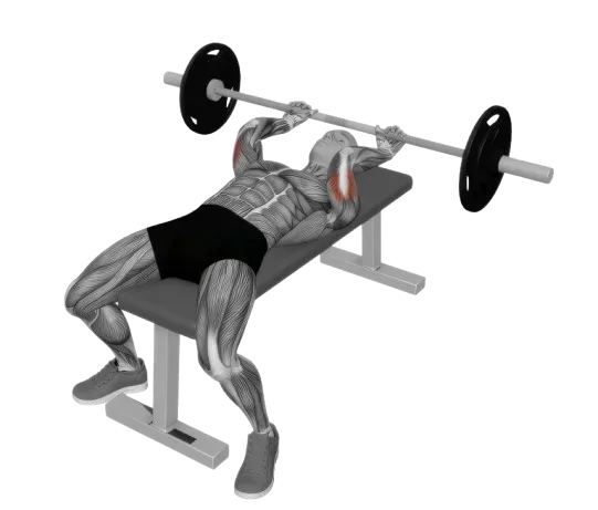 Skull Crusher exercise demonstration