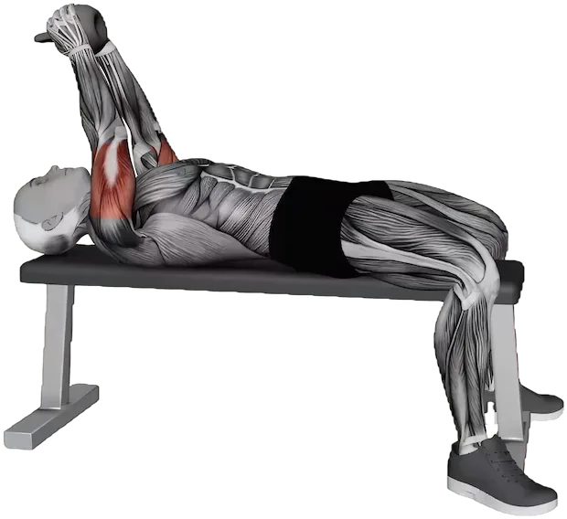 Skull Crusher exercise demonstration