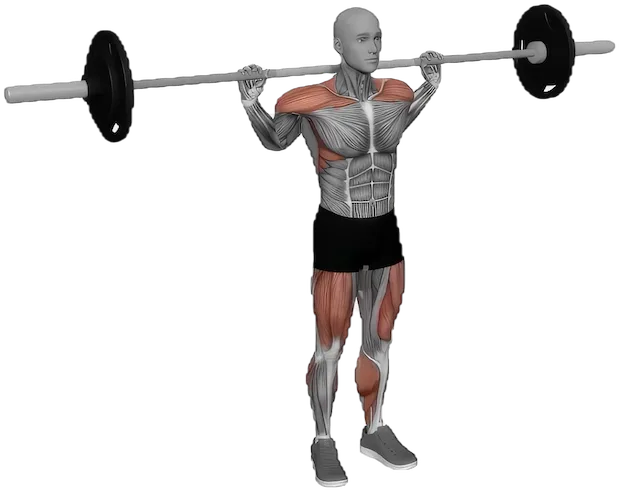Snatch Balance exercise demonstration