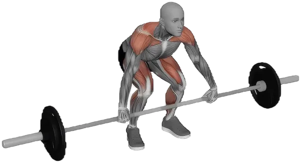 Snatch exercise demonstration