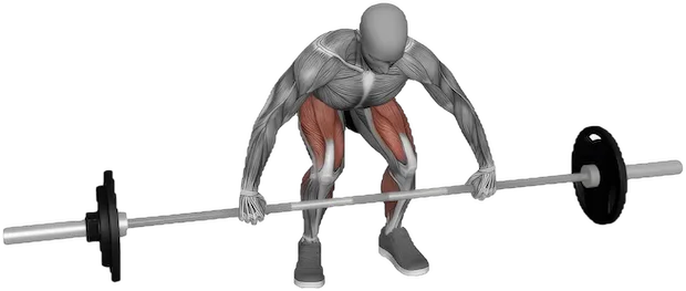 Snatch Grip Deadlift exercise demonstration