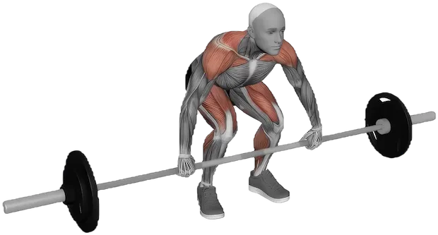 Snatch Pull exercise demonstration