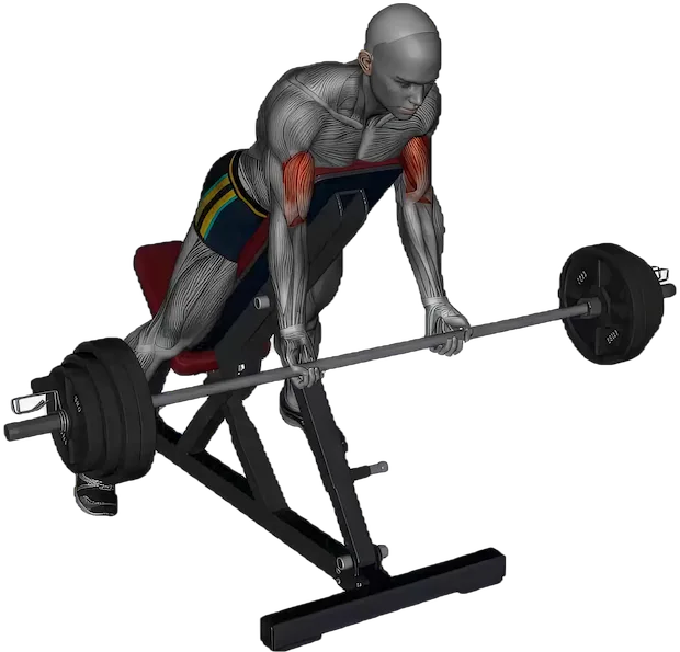 Spider Curl exercise demonstration