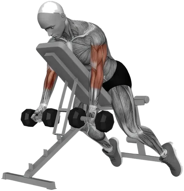 Spider Curl exercise demonstration