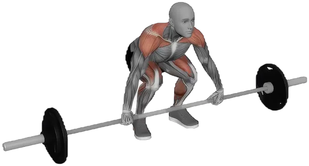 Split Clean exercise demonstration