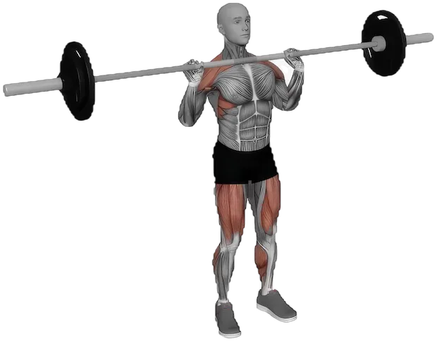 Split Jerk exercise demonstration