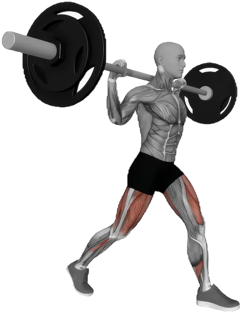 Split Squat exercise demonstration