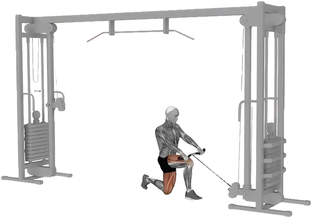 Split Squat exercise demonstration