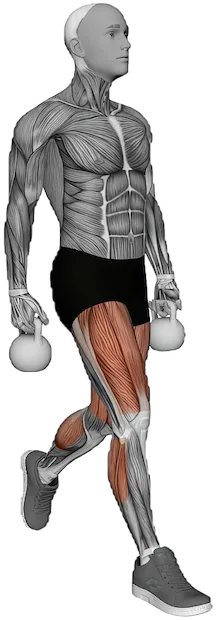 Split Squat exercise demonstration