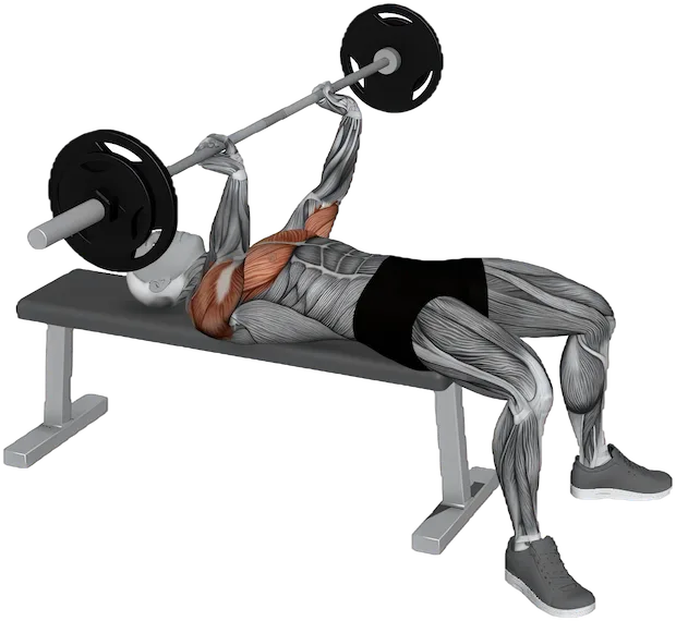 Spoto Press exercise demonstration