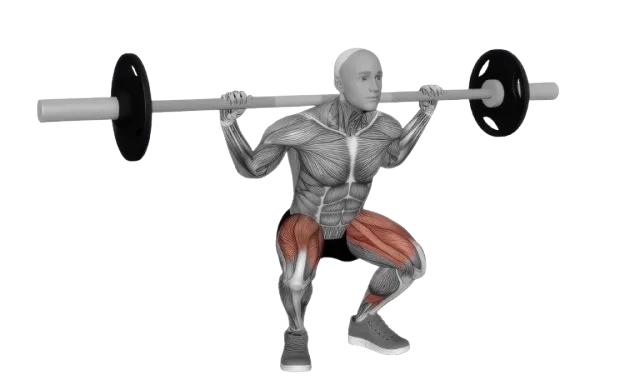 Squat exercise demonstration