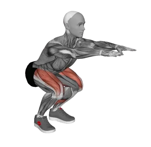 Squat exercise demonstration