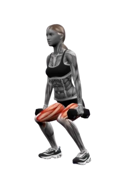 Squat exercise demonstration