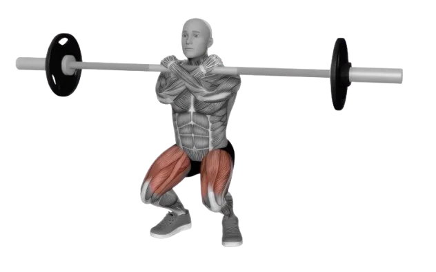 Squat Front exercise demonstration