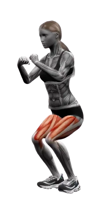Squat Jumping exercise demonstration